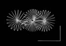 In ricordo di Man_Ray_3